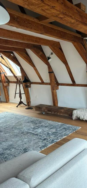 pre renovation inspection inside an existing property
